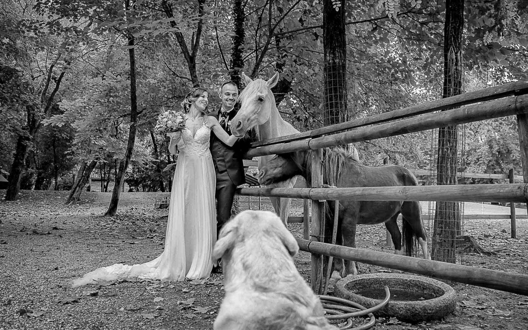 Tailor-made Wedding